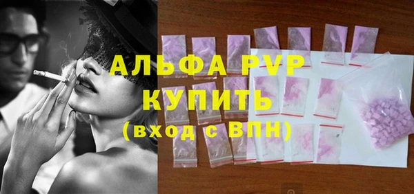 ПСИЛОЦИБИНОВЫЕ ГРИБЫ Инта