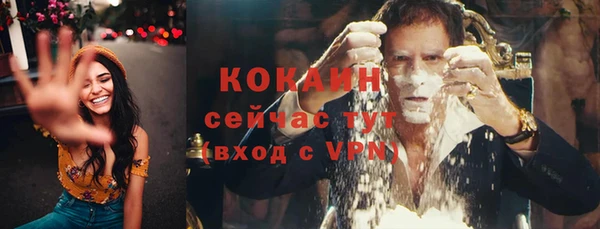 ПСИЛОЦИБИНОВЫЕ ГРИБЫ Инта