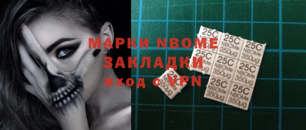 ПСИЛОЦИБИНОВЫЕ ГРИБЫ Инта