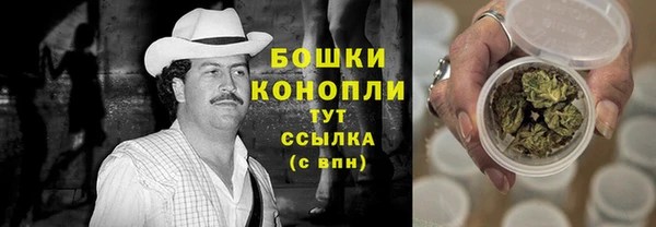ПСИЛОЦИБИНОВЫЕ ГРИБЫ Инта