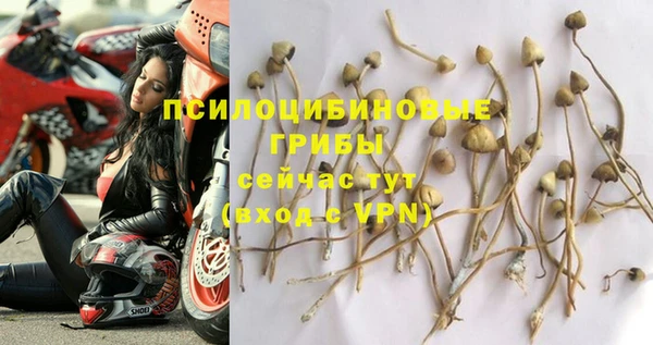эйфоретик Иннополис