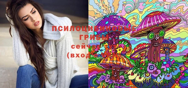 эйфоретик Иннополис