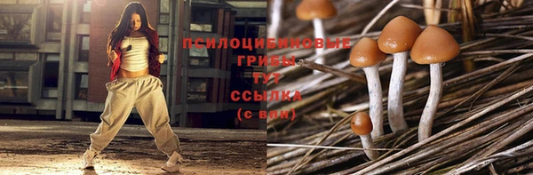 ПСИЛОЦИБИНОВЫЕ ГРИБЫ Инта