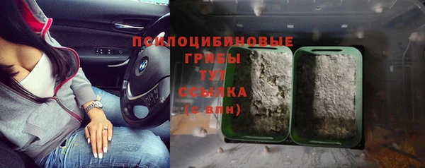 эйфоретик Иннополис